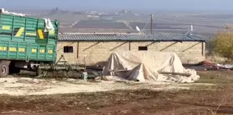 It amounts to a thousand quarter gold coins! The teams that entered the barn-like structure couldn't believe what they saw.