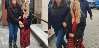 A law student young girl’s 