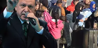 Сенсационное решение по сирийцам! Эрдоган вмешался, переход к второму этапу.