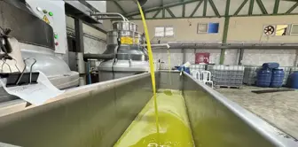 The village headman established a factory and employed the entire neighborhood! He is even exporting to Saudi Arabia.