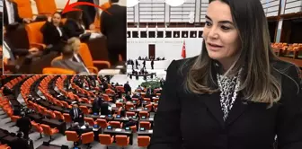 Türkeş's daughter’s remarks about Öcalan stirred up the Parliament.