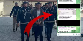 The messages of the provincial immigration director who was suspended from duty have emerged.