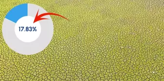 إسطنبول تعاني من أزمة في السدود! عند أدنى مستوى لها في السنوات العشر الأخيرة: نحن في اختبار جاد.