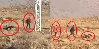 Cold-blooded killer! He killed the father and injured the son.