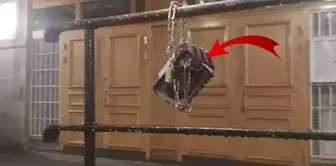 Low provocation in the mosque! They chained the Quran to the barriers.