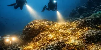 Historical discovery from China! A giant gold mine has been found underwater.