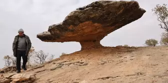 Remains from the Ice Age in Diyarbakır: Dating back exactly 6 million years.