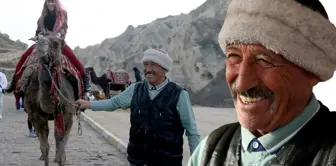 Don't be fooled by how it looks! He/she is a middle school graduate but knows more languages than professors.