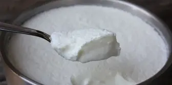 Famous brand's deadly trick! Cow's milk found in buffalo yogurt.