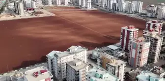 إليكم الترجمة إلى اللغة العربية:

