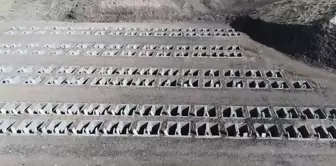 Graves are now just a click away: Those who wish can see the photo, and those who want can have prayers recited.