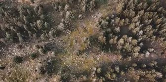 Открытие, которое оставит след в истории! Оказалось, что оно принадлежит туркам.