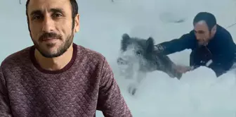 The man who caught a wild boar with his bare hands: I wouldn't recommend it to anyone.