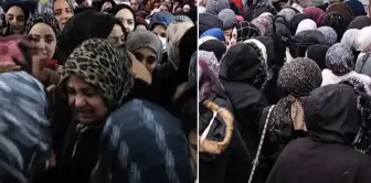 شهد افتتاح متجر في سلطان غازي ازدحامًا.