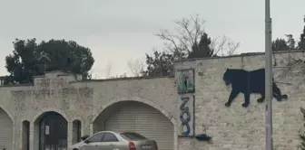 Конец эпохи! Зоопарк Дариджа закрыт.