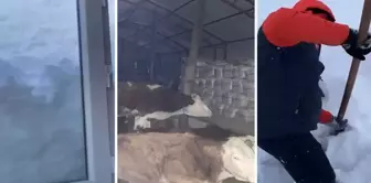 Социальные сети обсуждают 