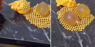 خرج من اللعبة التي اشتراها لطفله واقي ذكري.