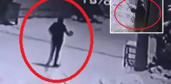 He chased the wolves down to the neighborhood with his teapot.