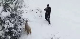 Анкарский пастух нацелил ружье на дрон, приближающийся к нему.
