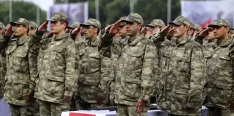 The places for paid military service have been announced.