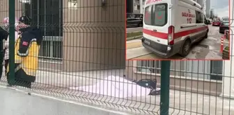 ذهب لاستئجار، وسقط من الطابق السابع عشر وتوفي.