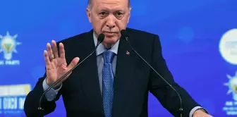 Призыв президента Эрдогана: Курдские братья, не поддавайтесь на провокации.