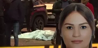 The brutality of the decapitation murder began with an iron.