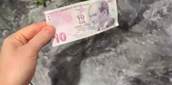 Смотри, что случилось с гражданином: наши новые 15 лир всем на благо!