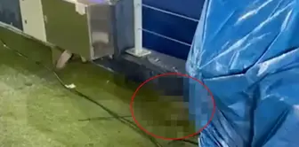 Images that infuriated the fans before the Champions League match.