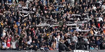 6 points will be deducted from the 112-year-old giant tree.