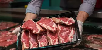 A project is coming that will reduce red meat prices! Erzurum has been chosen as the pilot province.