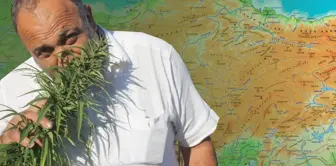 Decision in the Official Gazette: Approval for hemp production in 21 provinces.