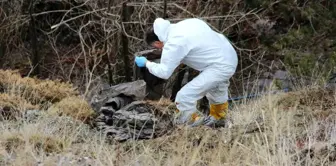 The body of the person who has been missing for 6 days was found in a dismembered state! The head is missing.