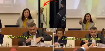 Özlem Gürzel's statement 