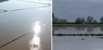 The Büyük Menderes River overflowed, submerging 2,000 acres of agricultural land.