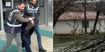 There is news from the bone-splitting horror farm! The traces concentrate on a single person.