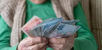 Details about the citizenship salary have been clarified! Here are the items for which assistance will be provided.