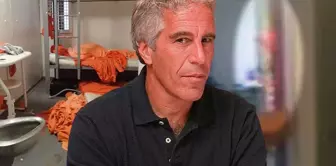 How does this work! The prosecution announced Epstein's death a day before his suicide.