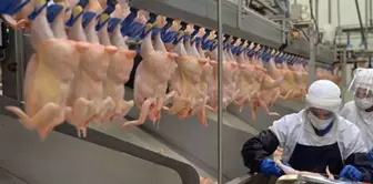 The exorbitant price increases before Ramadan have prompted the ministry to take action! The export of chicken products has been halted.