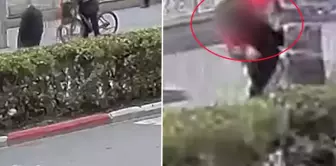 В Ушаке уволили сотрудника, который не передал потерянную сумку властям.