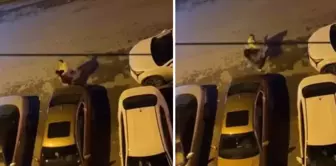 He punched the young woman repeatedly in the middle of the street.