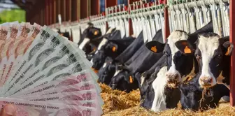 According to TÜİK data: Here is the province with the highest number of cattle.