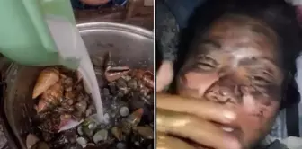 Филиппинский влогер и его друг погибли, съев ядовитого краба.