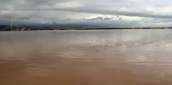 Heavy rainfall hit agricultural lands in Hatay.