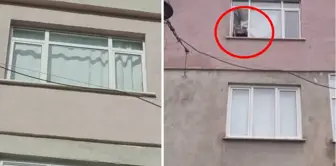 The woman who went to the window in Esenler and hit the pot and pan has annoyed the neighborhood.