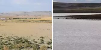 The dried lake has started to hold water again after 4 years.