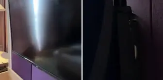 In the hotel room, the man looking behind the television experienced the shock of his life.