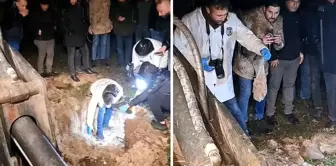 The mysterious package buried in the cemetery stirred the neighborhood.