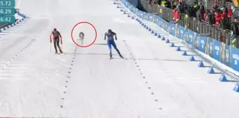 The image that surpasses the large organization.