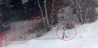 Never seen anything like this before! The image that stands in front of the giant organization.